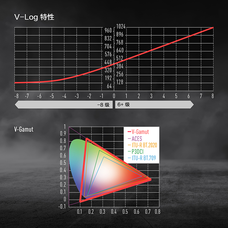 14+ 档 V-Log 和 V-Gamut“VariCam Look”