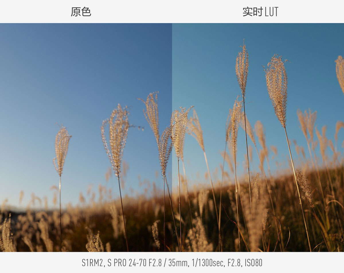 您独特的色彩表达，将由相机直接呈现