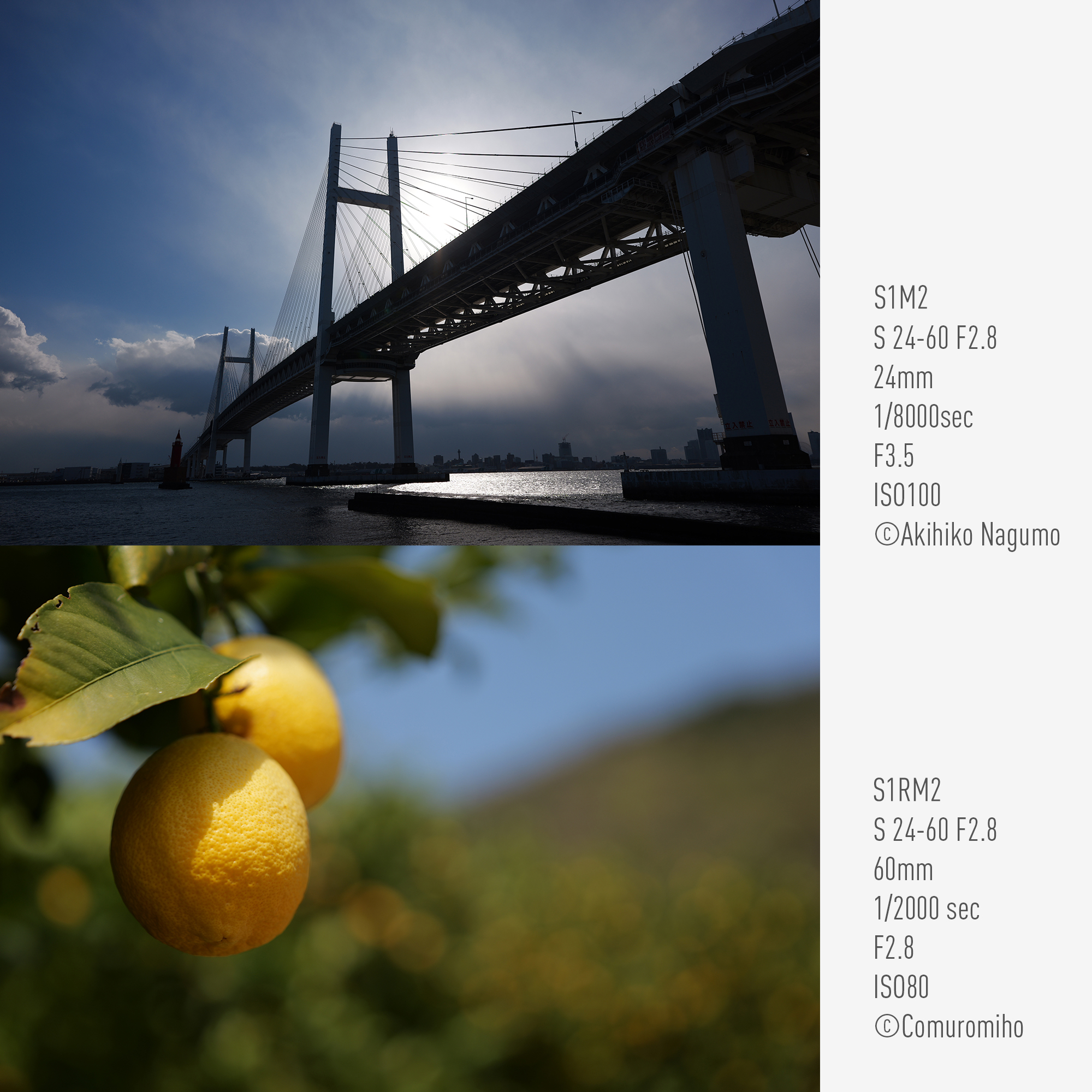 从 24 毫米到 60 毫米的可调变焦范围