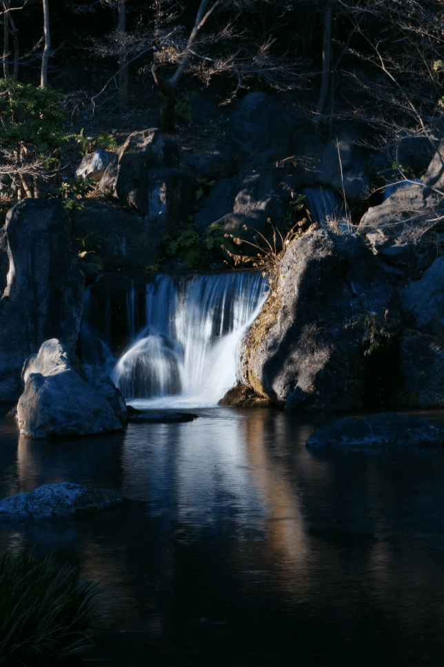 利用光圈调节景深