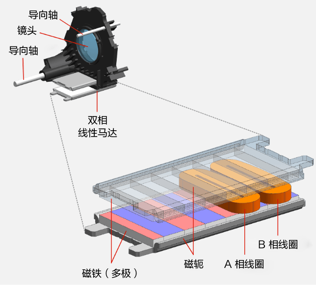 实现了最轻量化设计的双相位线性马达 实现了最轻量化设计的双相位线性马达