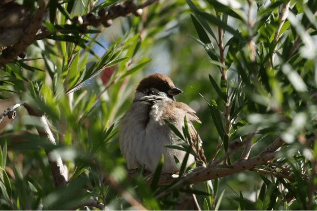 由研发团队拍摄的照片 — 摘要