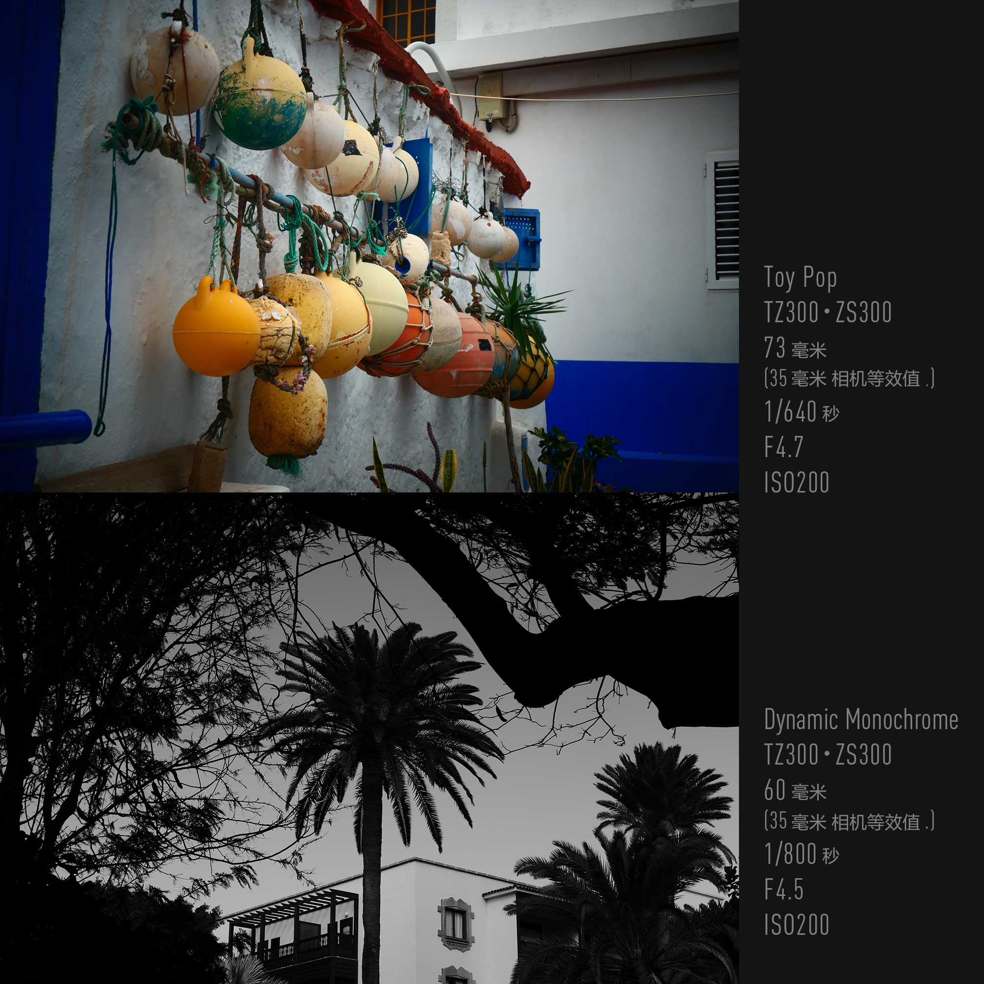 创意操控：22 种独特滤镜效果