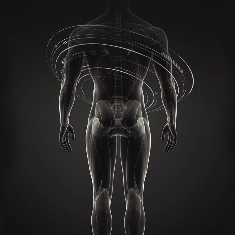 智能体型检测 智能体型检测