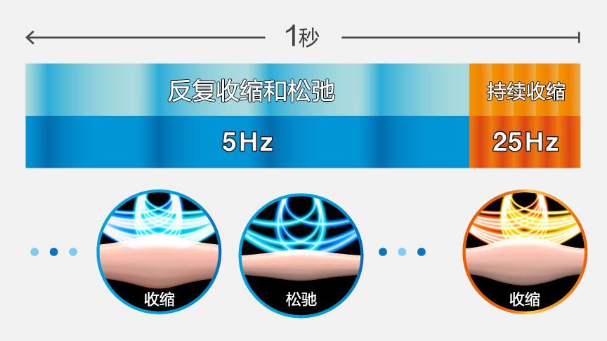 EMS刮痧美容仪 EH-SP86